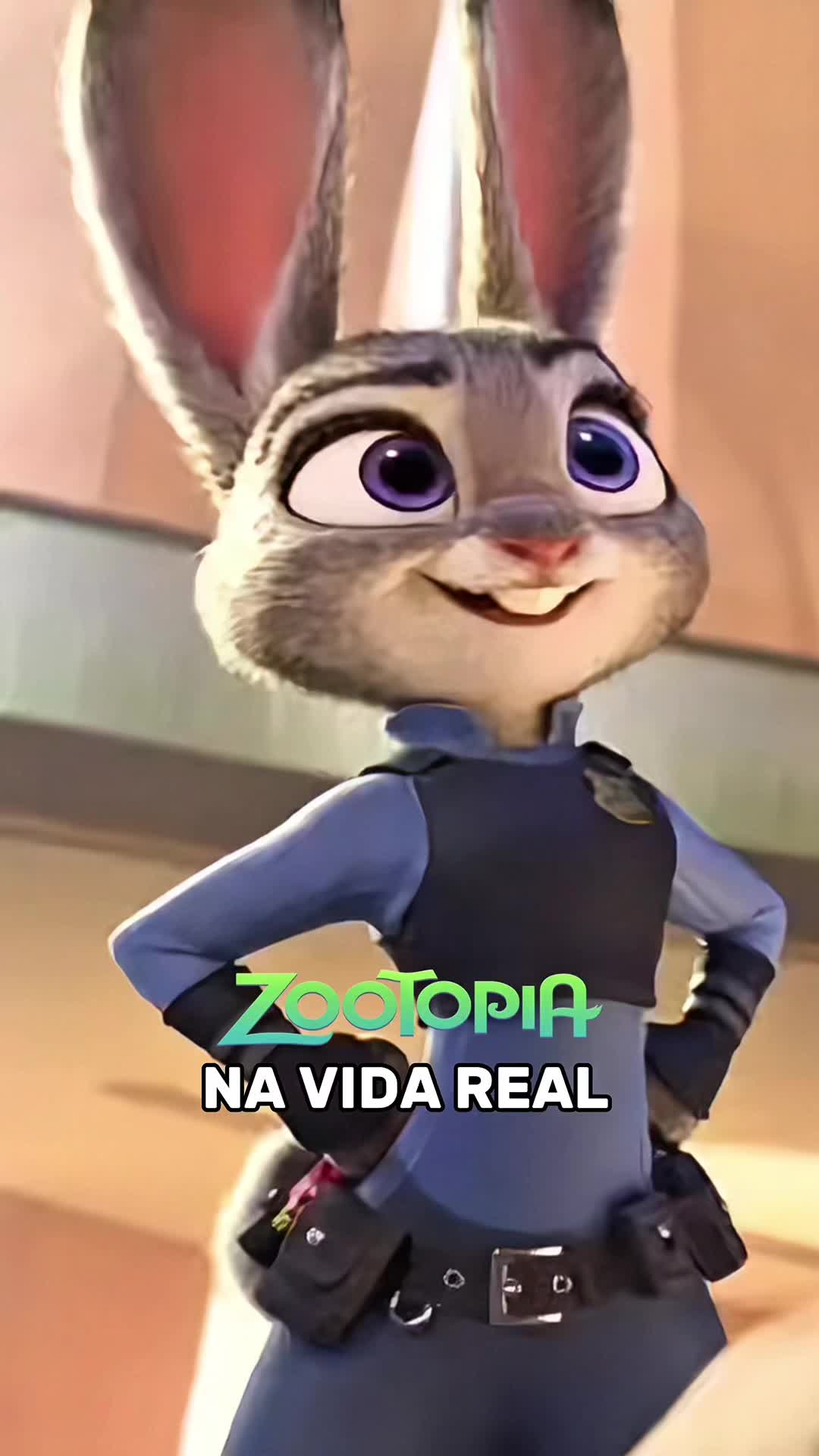 @iarapido