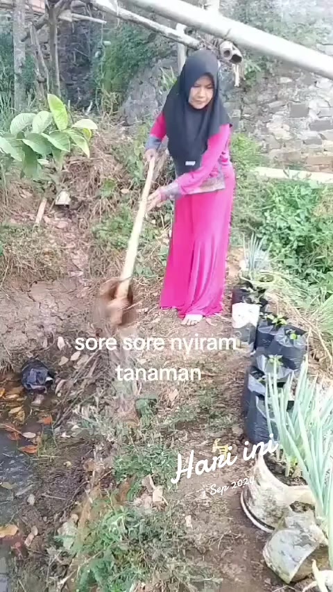 @aielia