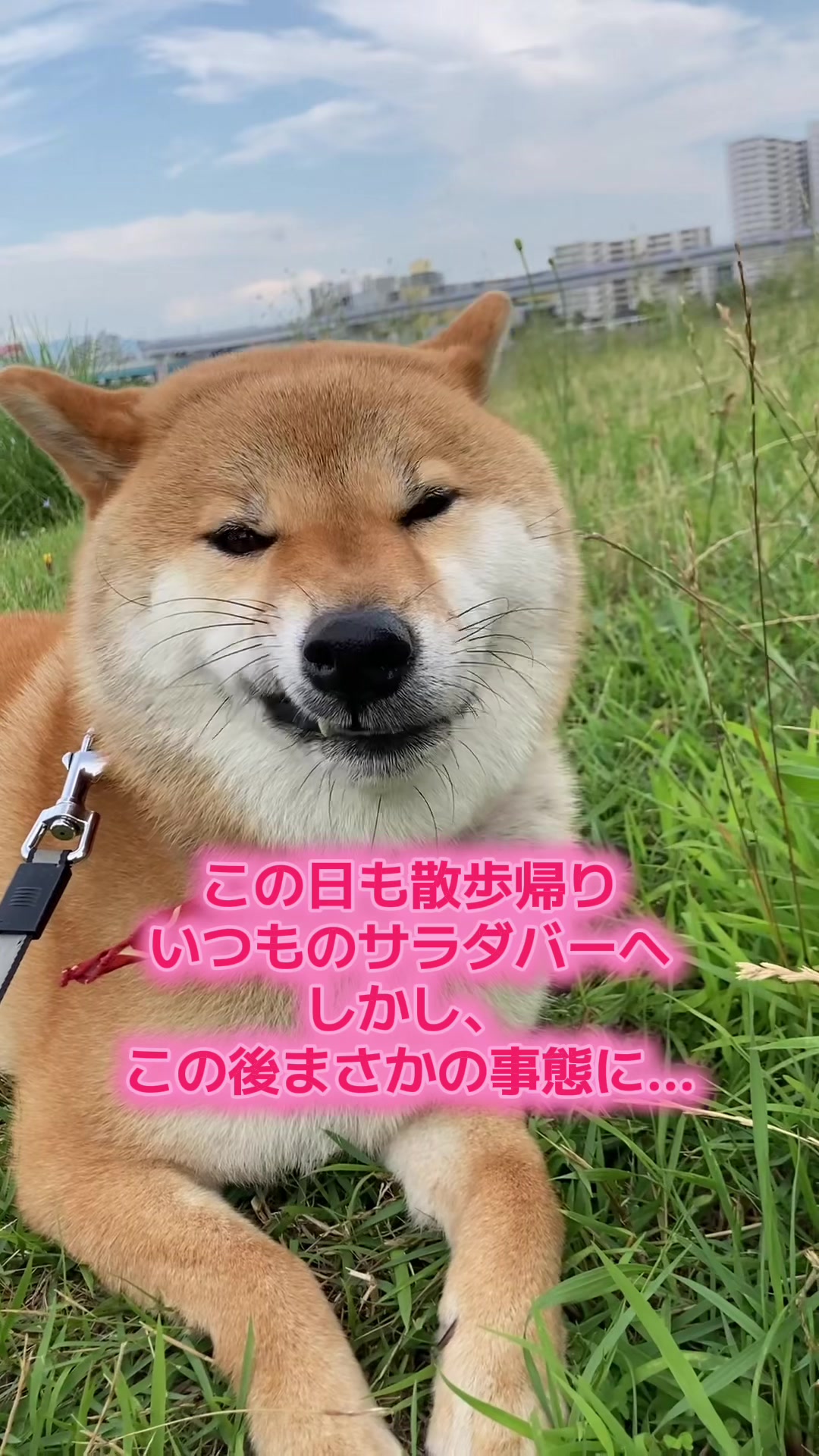 @æŽç¬ã¯ãªðŸ