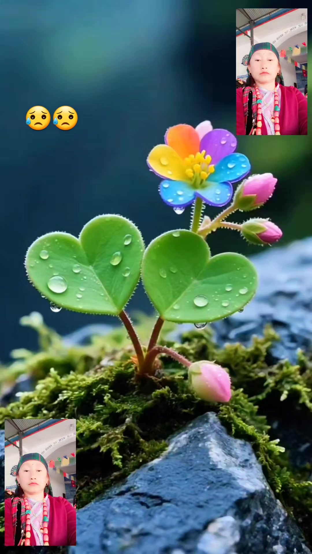 @kanxi123