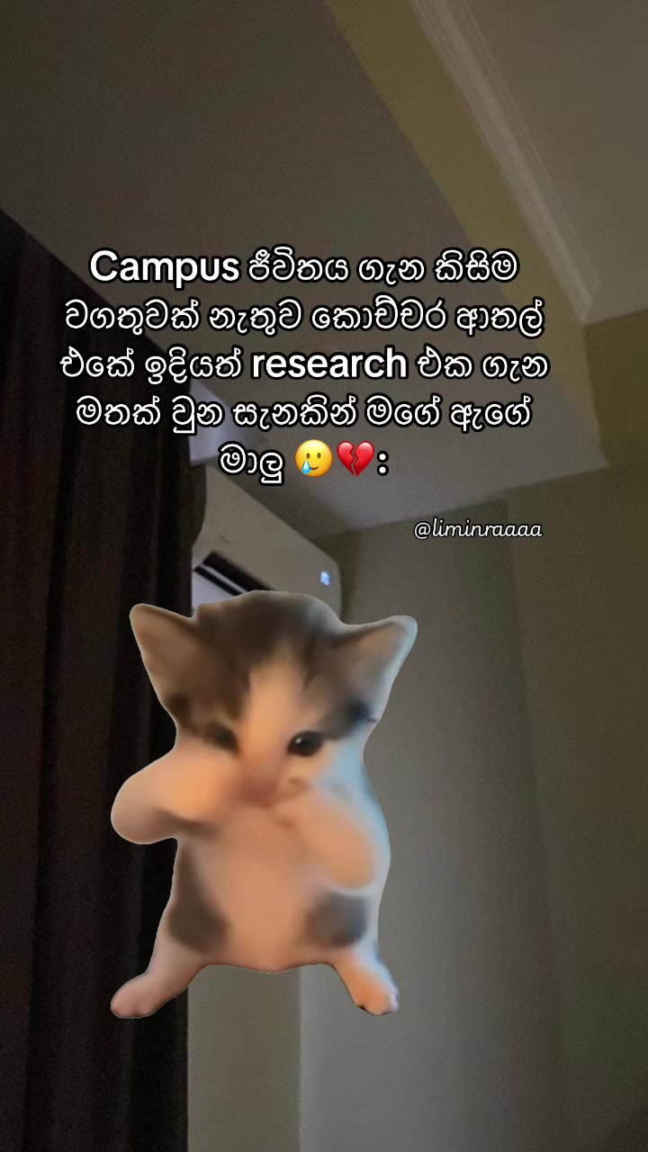 @Lisumi Jayawardana
