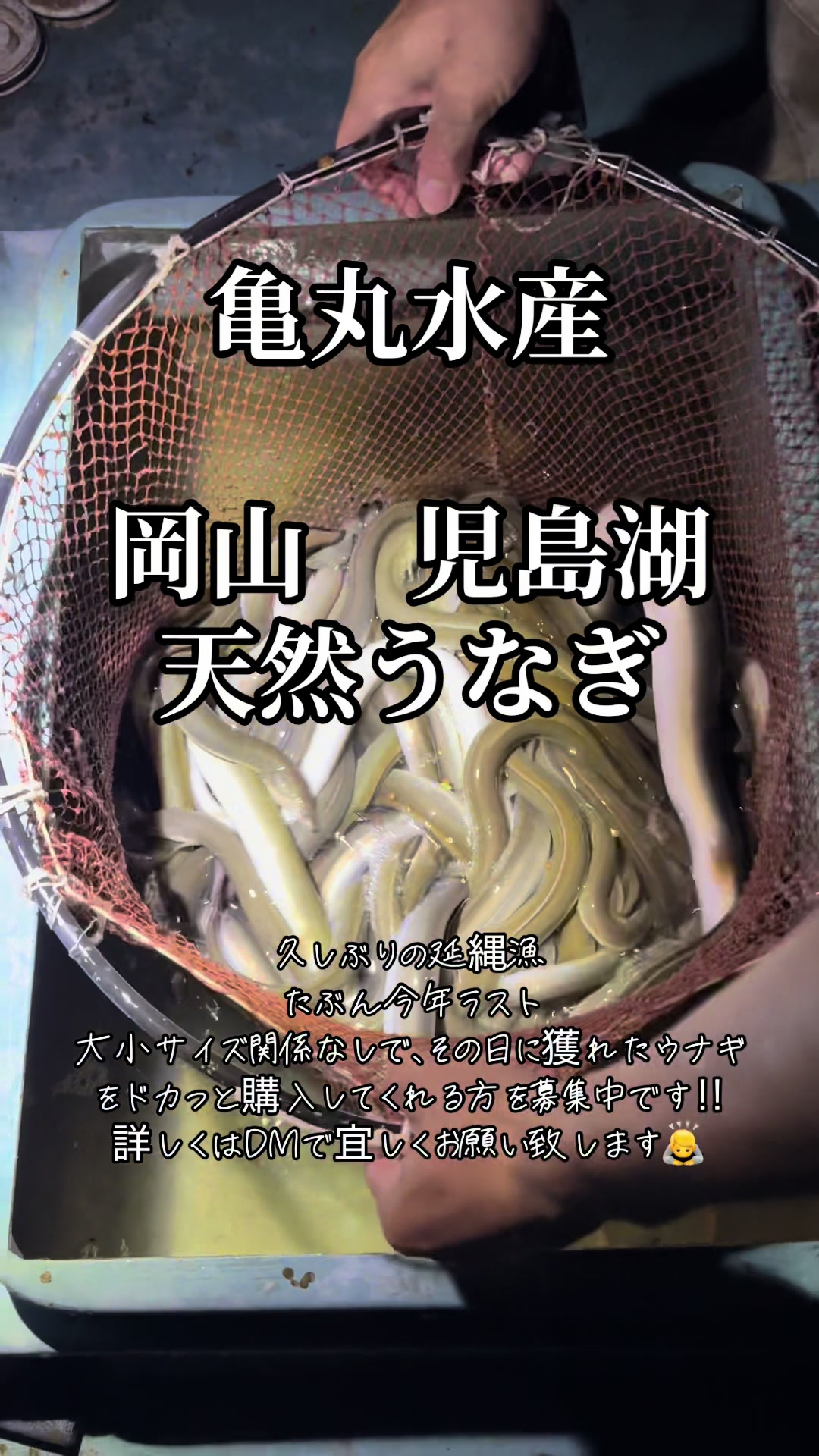 @亀丸水産社長🐢