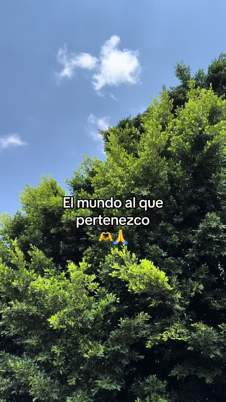 @Iris Cristal García Ocampo
