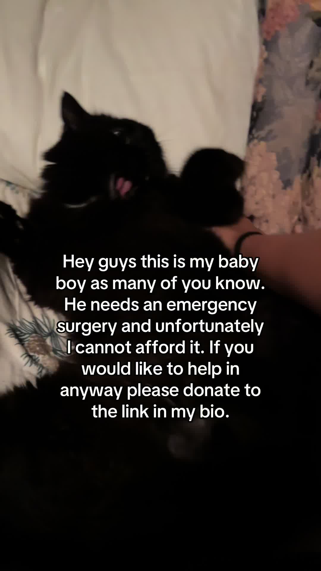 @m0nk3yc0re
