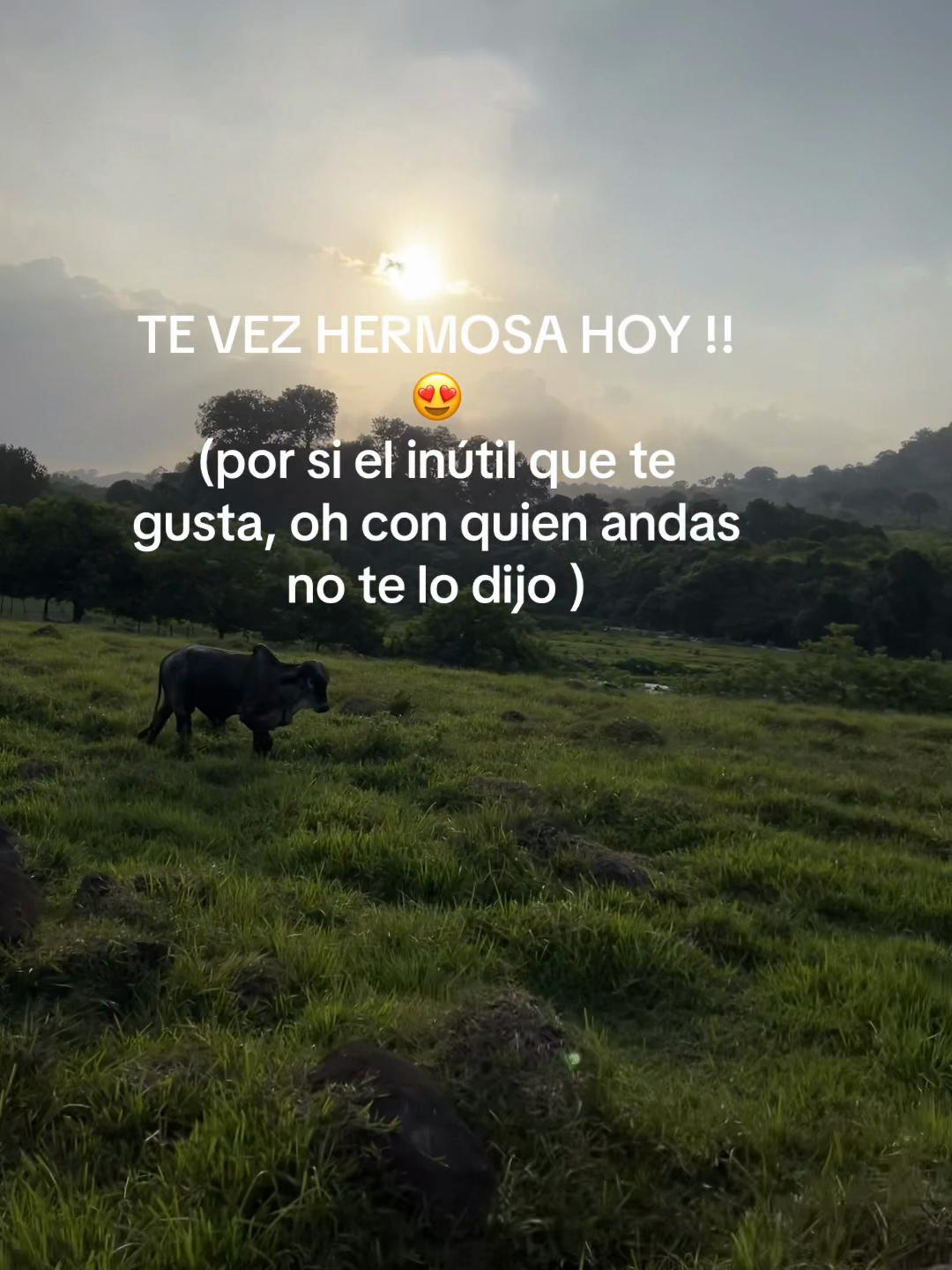 @ElsaYariela