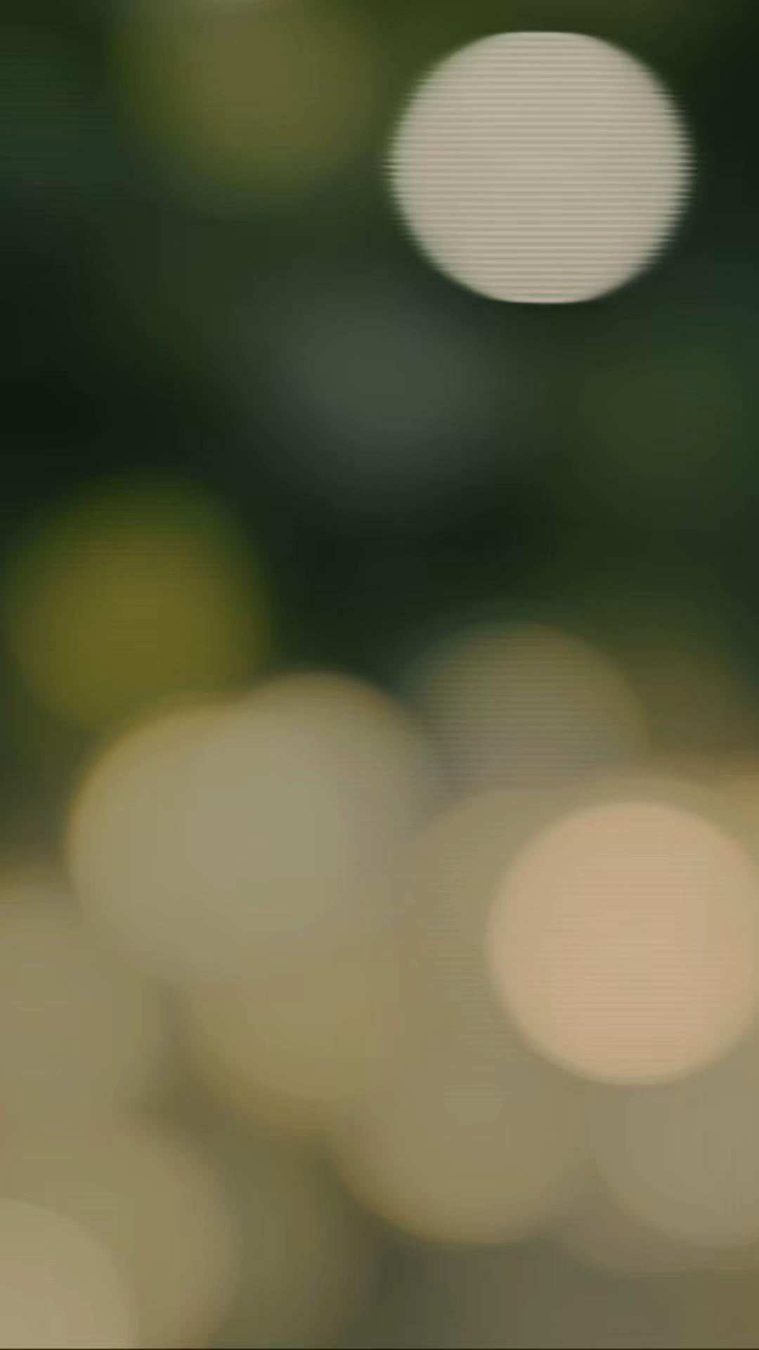 @𝗕 𝗔 𝗕 𝗨