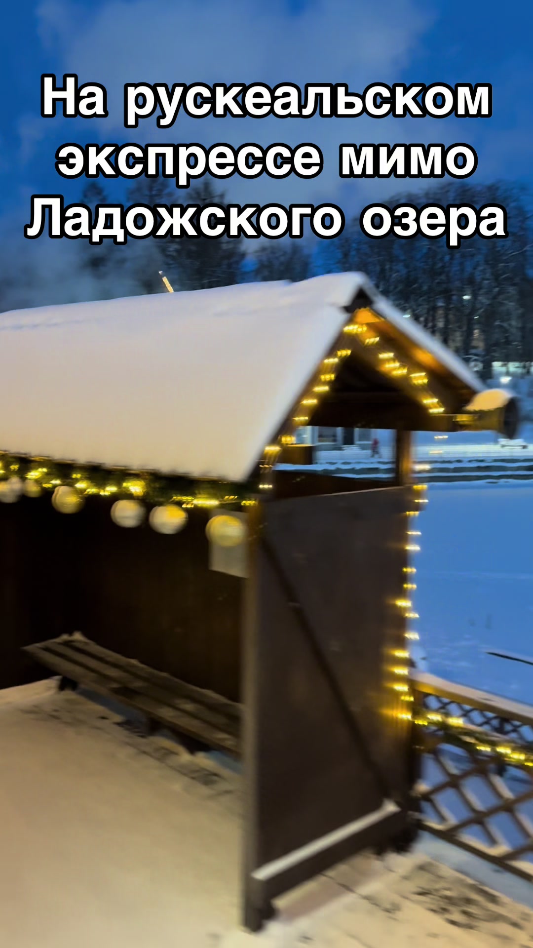 @_Inna_Vl_208
