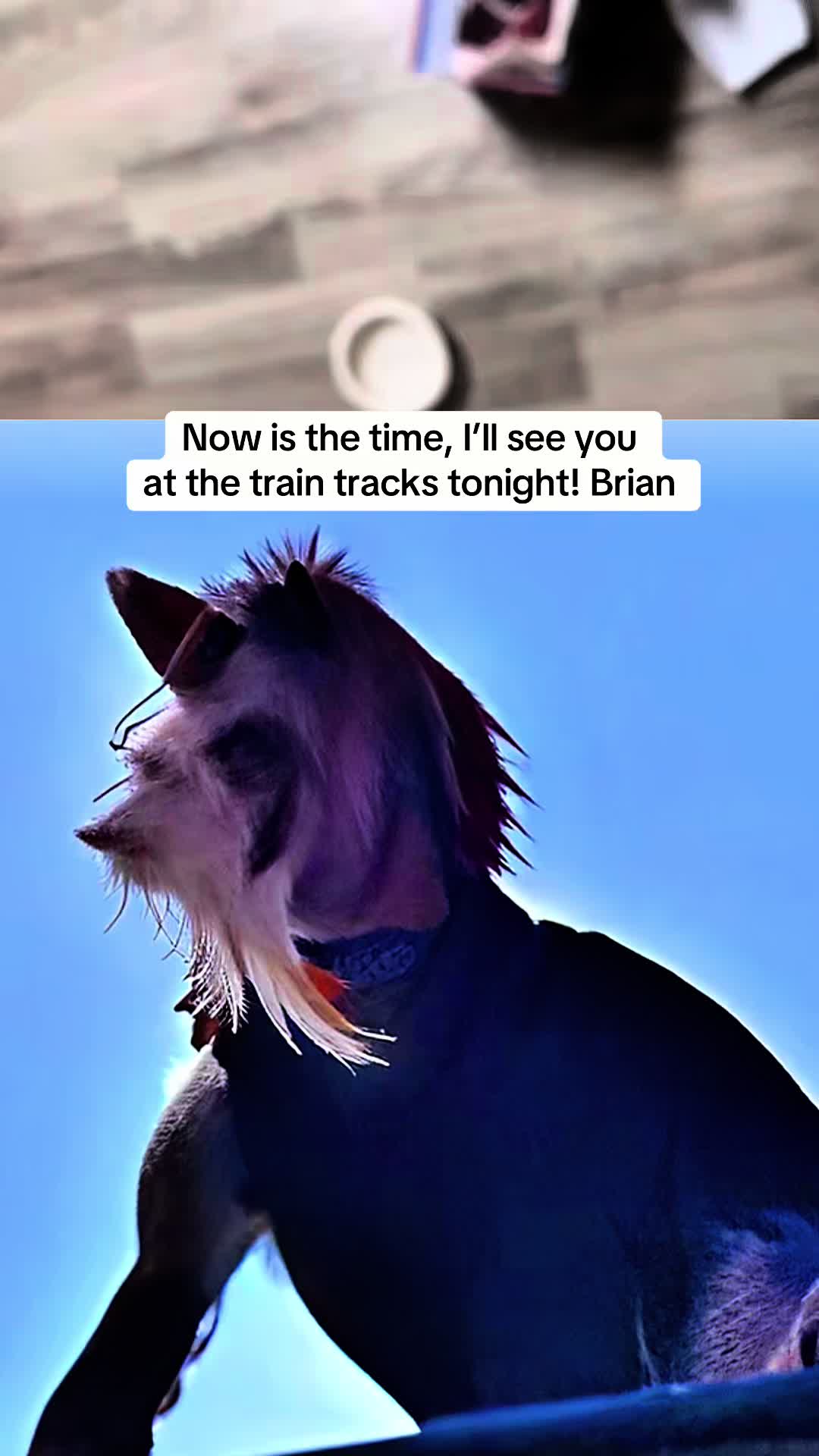 @universeisherenow