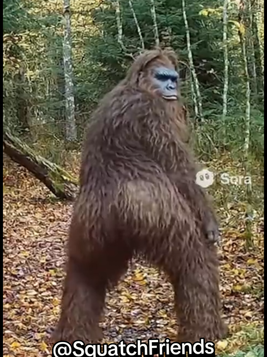 @Squatch Friends