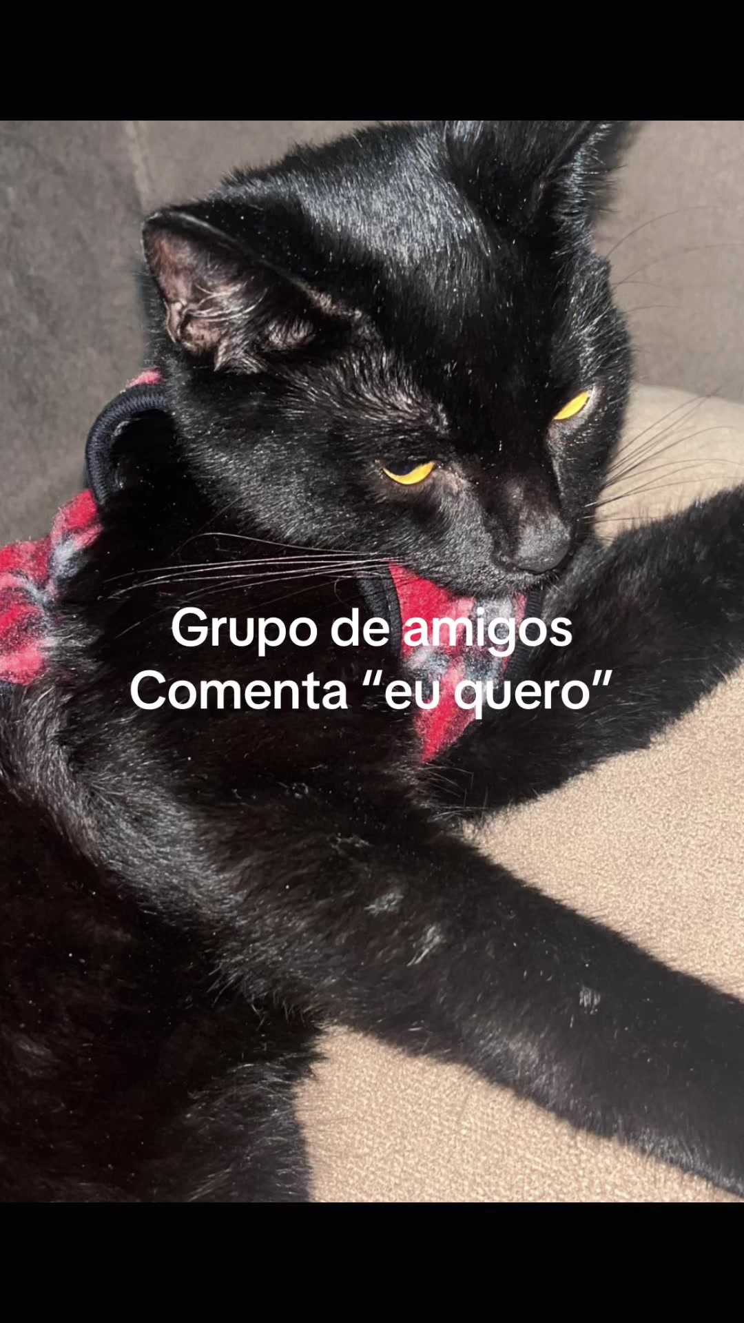 @Resenhaaa