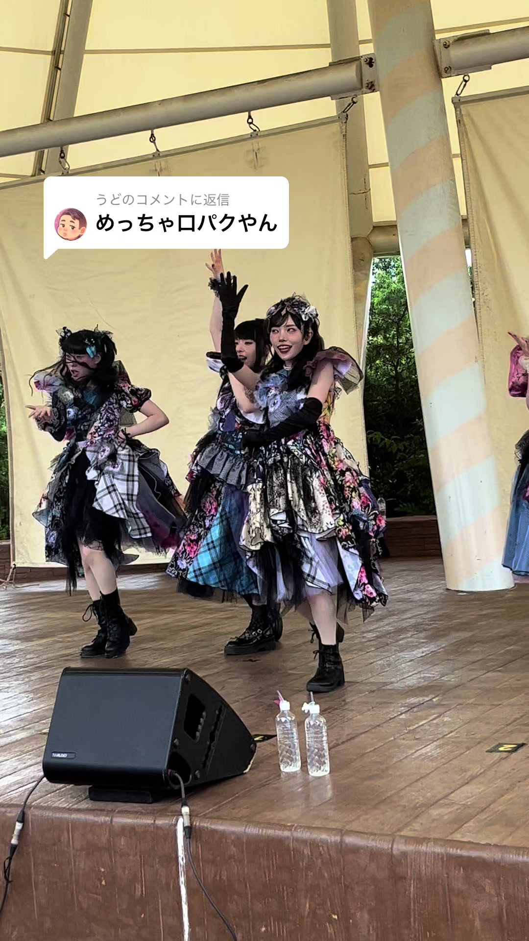 @トラ@ハイネ