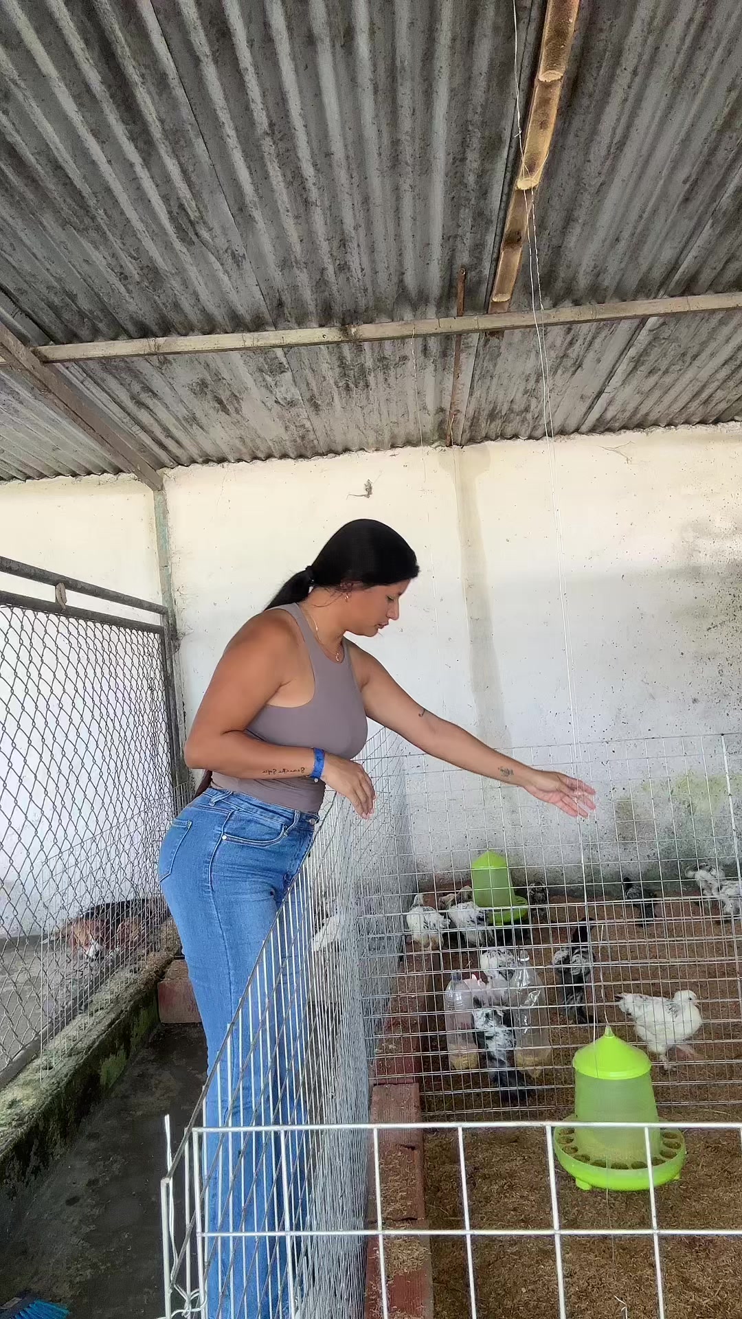 @Granjamascotalandiayaracuy