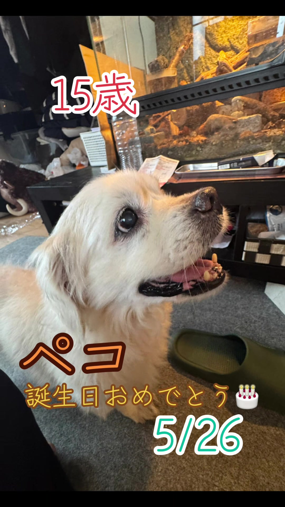 @オクラ