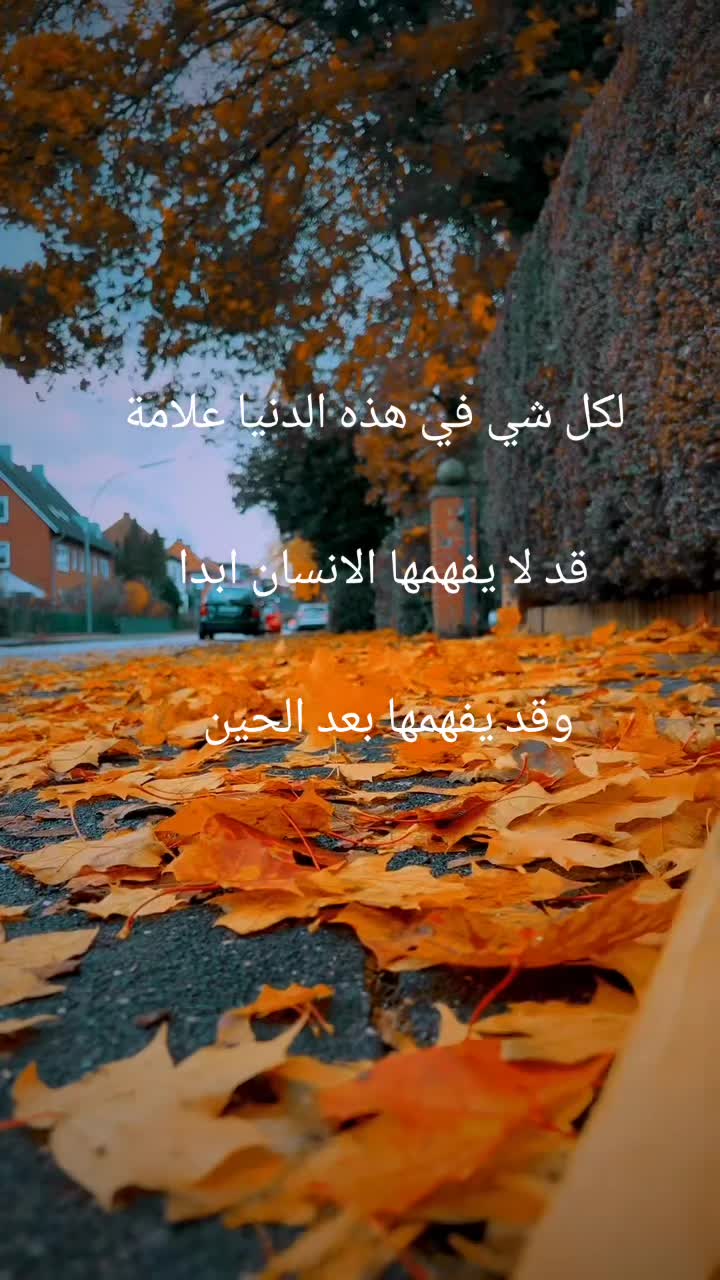 @Kurdistan Yak Welat✌️