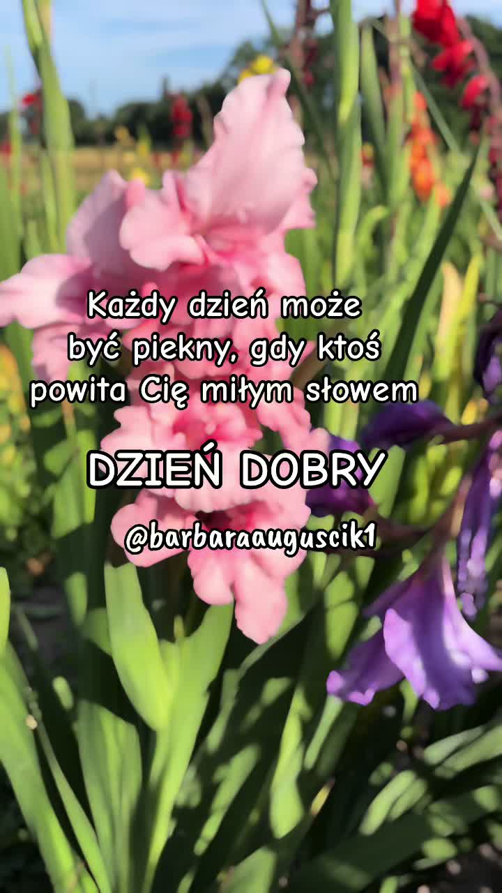 @barbaraauguscik1๐ต๐ฑ๐ฉ๐ช