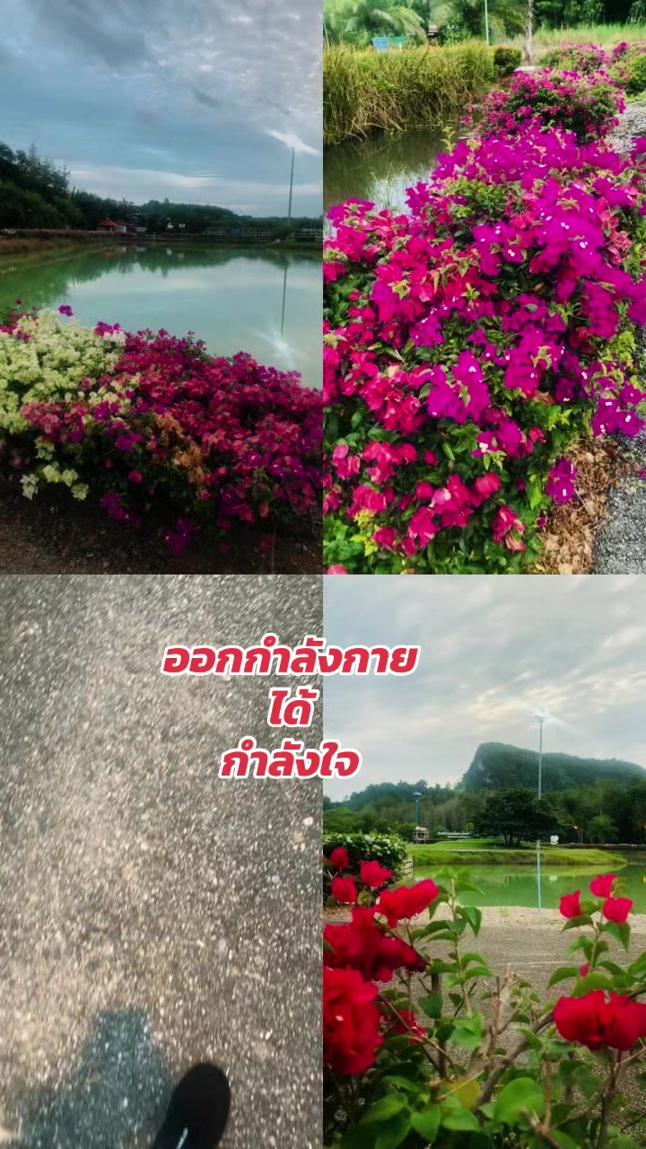 @ครูกิ่งดาว88