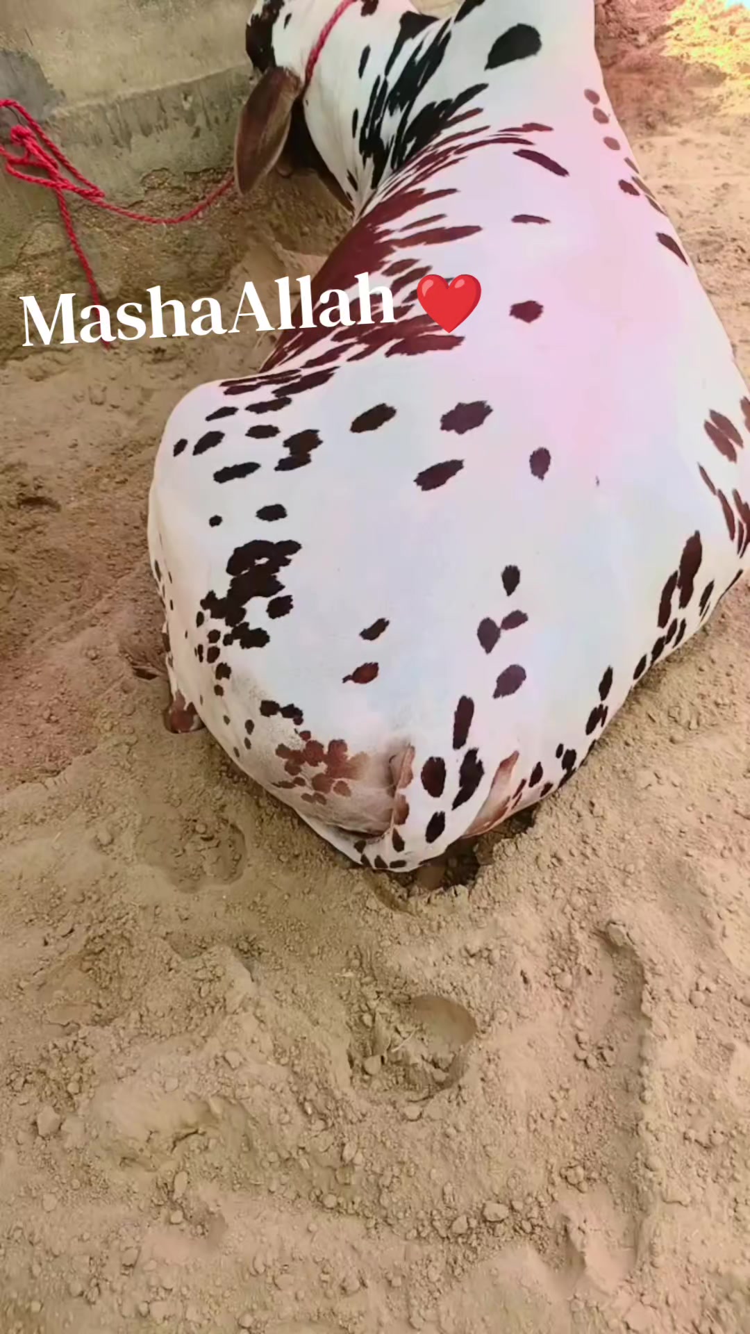 @Nasir Ali