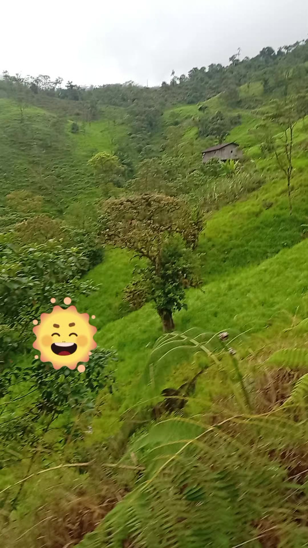 @ZOBEYDAPOMITA