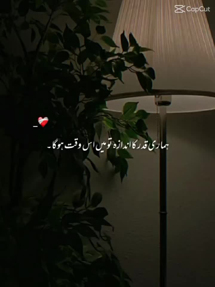 @Nora
