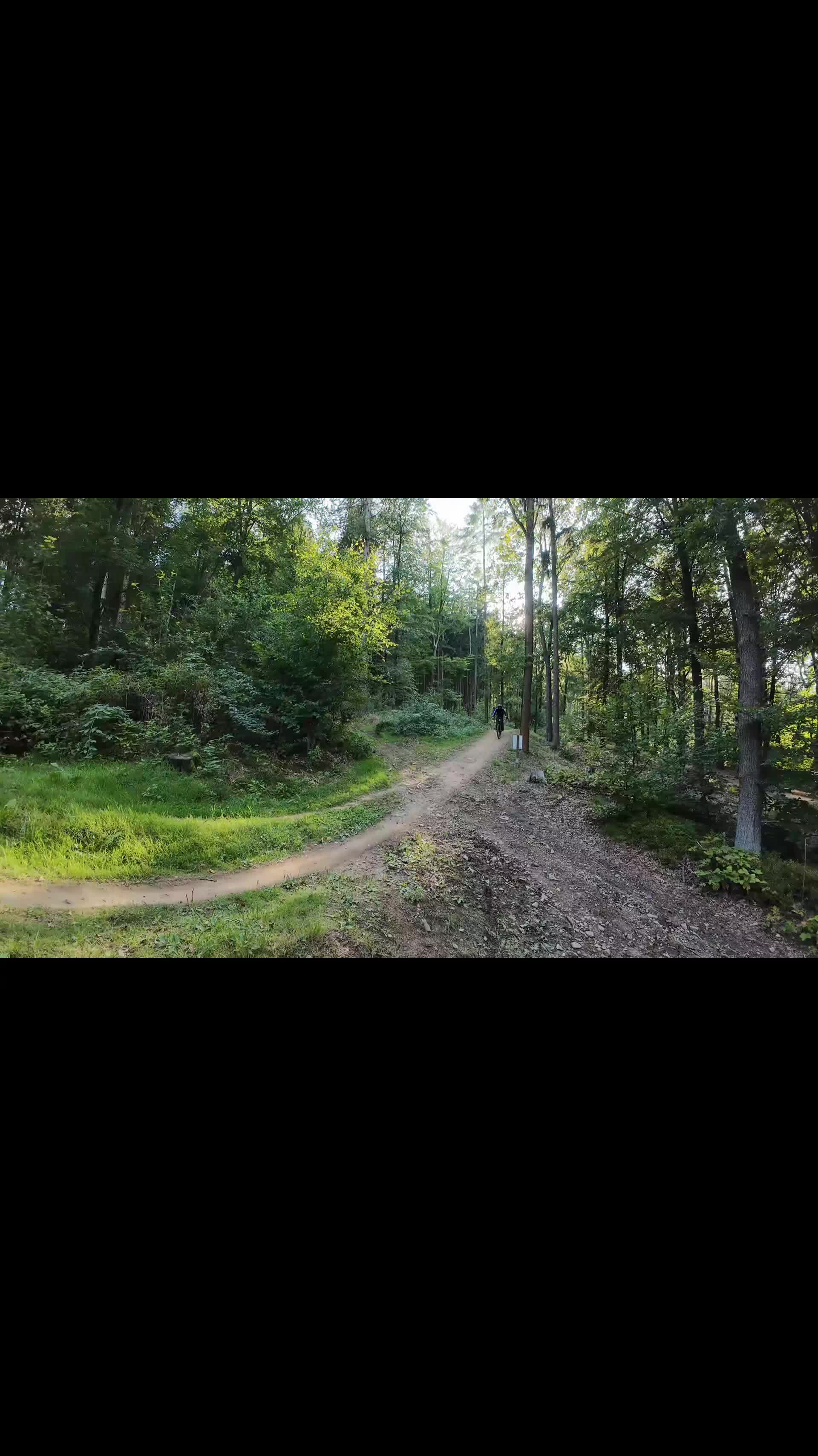 @🌲Freeride_Finn🌲