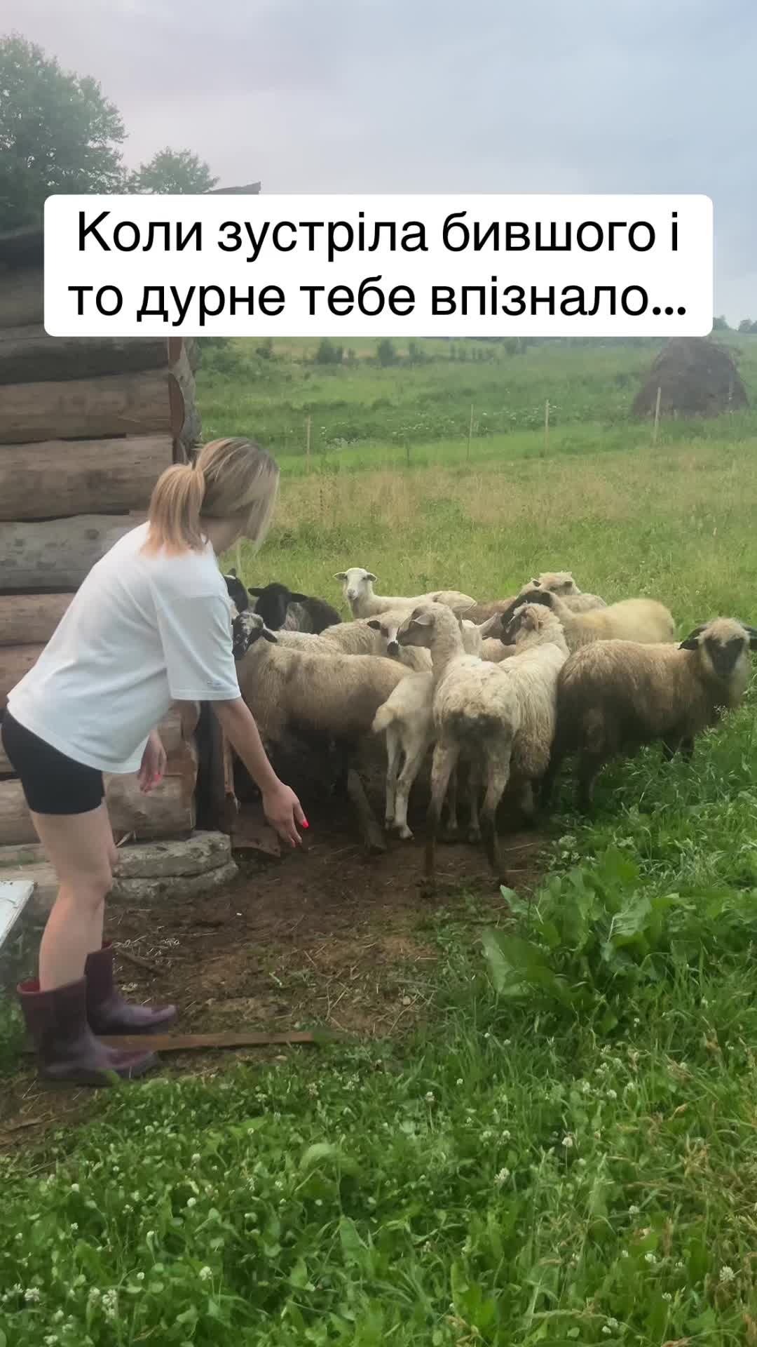 @Анна Кобець