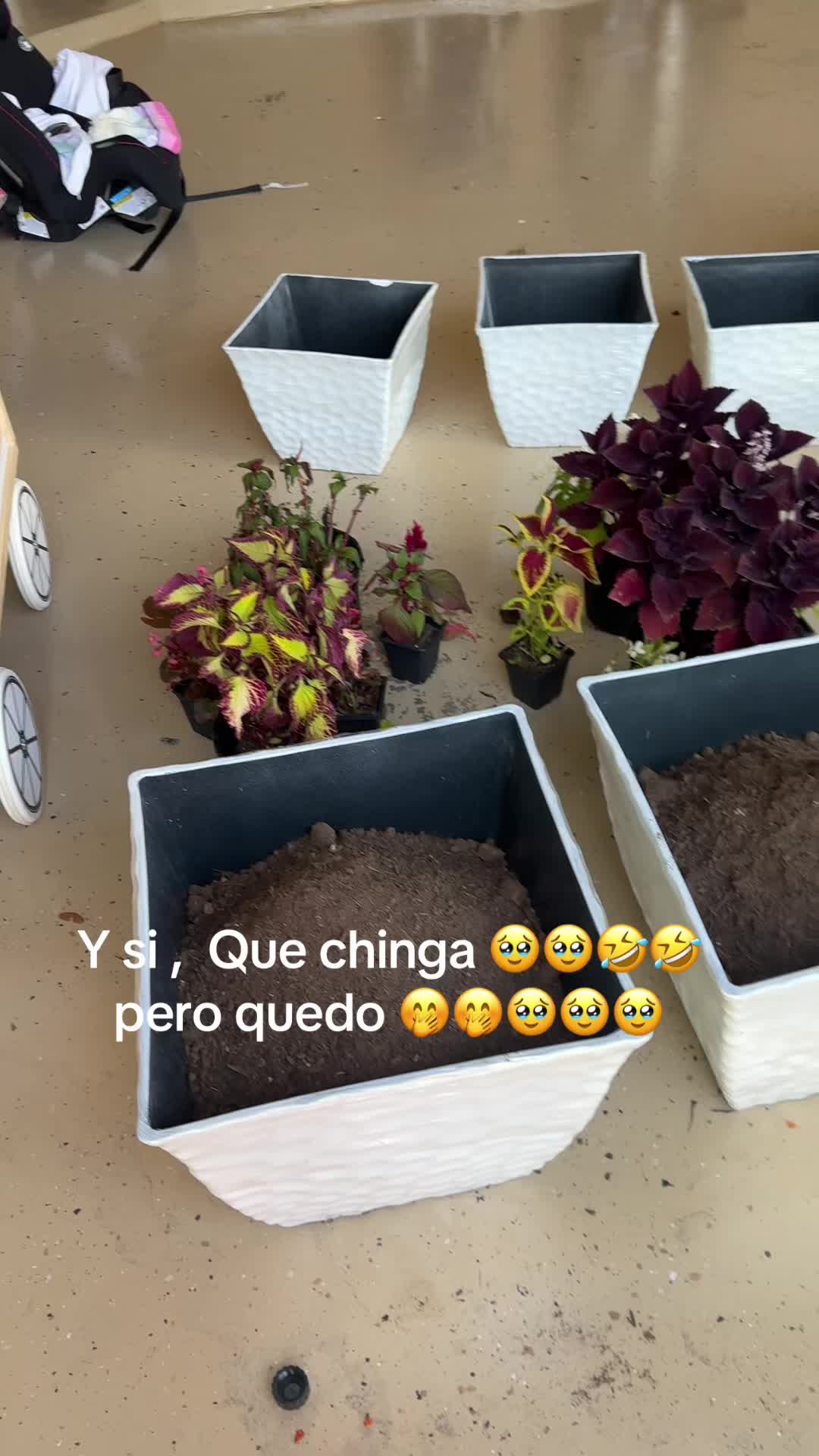 @BereNice 🙏❤️🥰