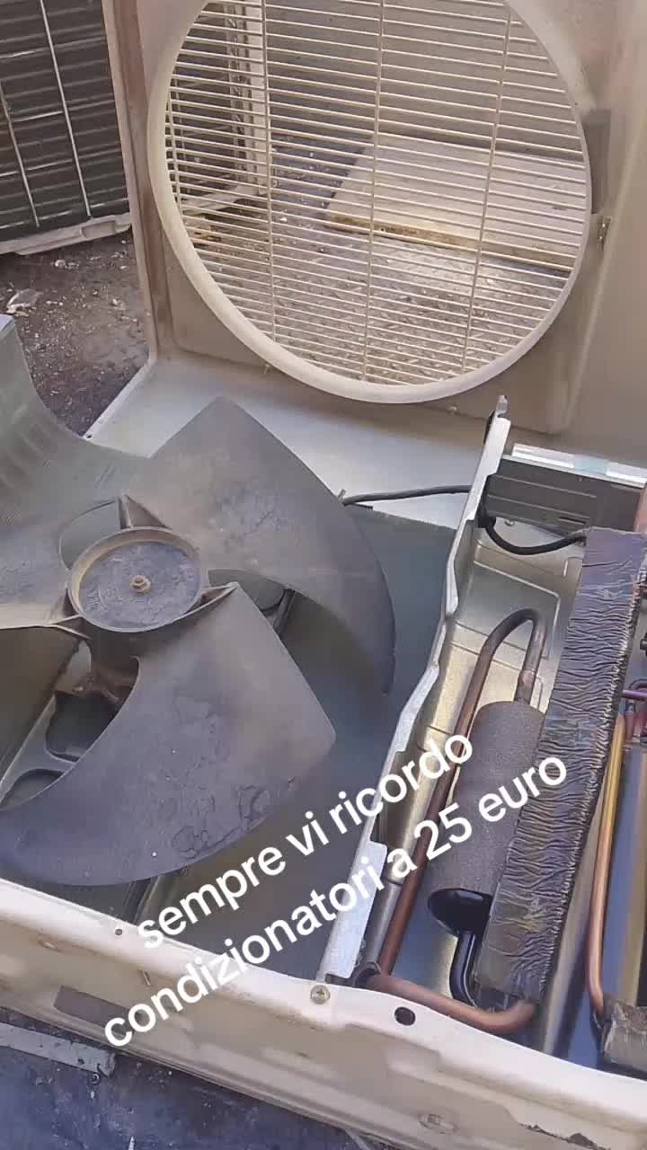 @vincenzocampo918