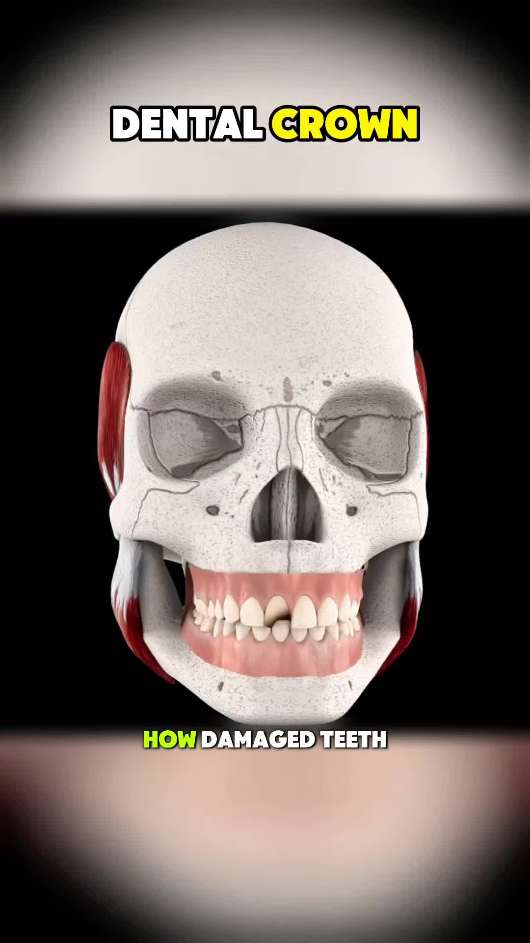 @HumanScope