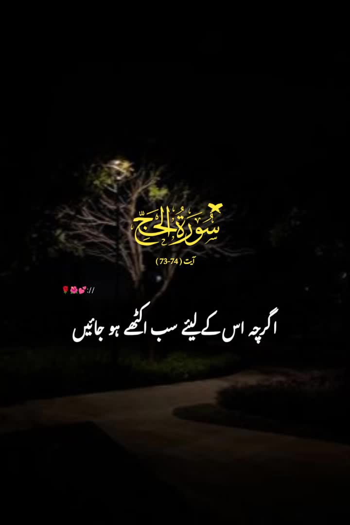 @Quran majeed