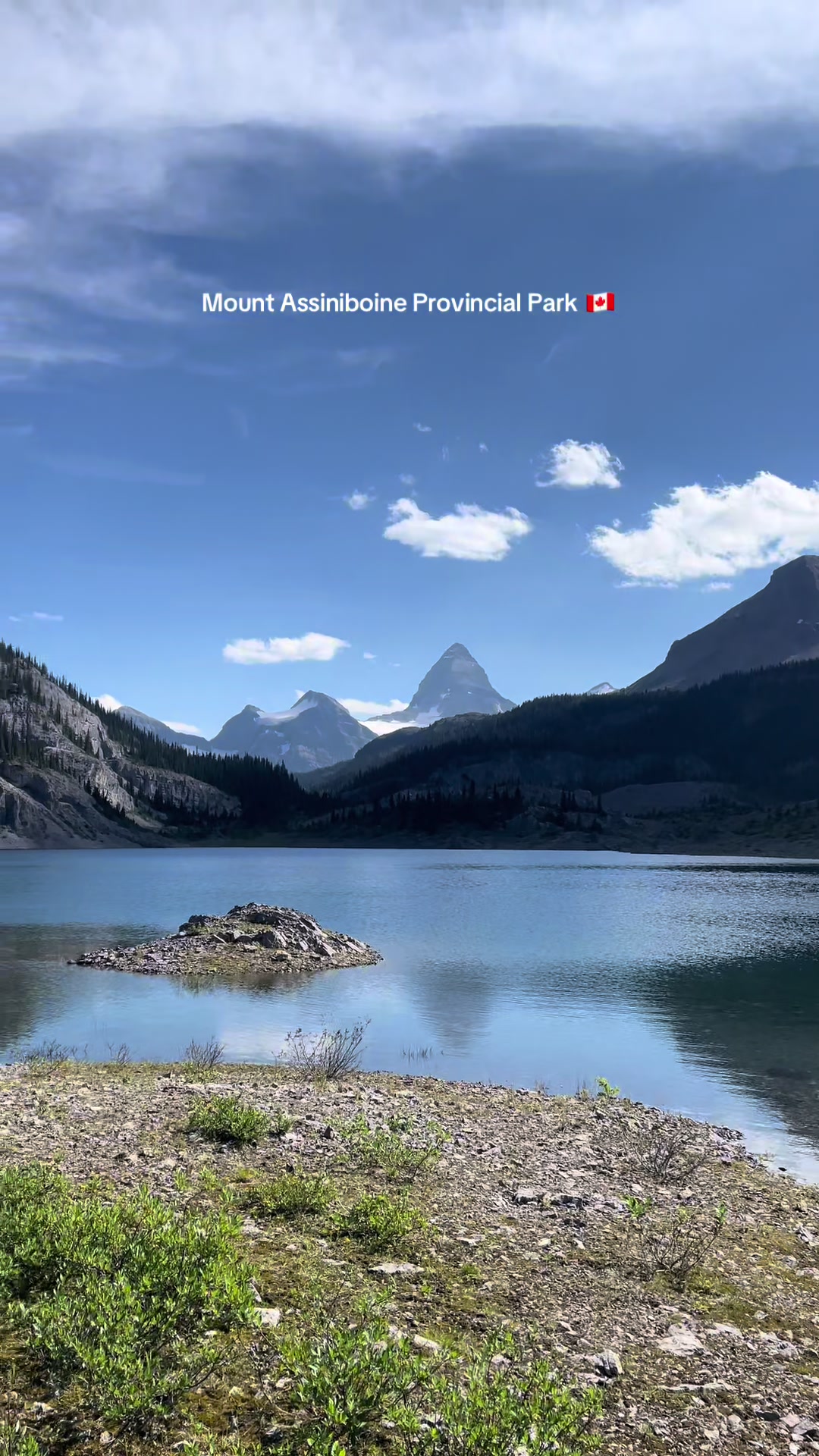 @janaashl 🇨🇦🌿