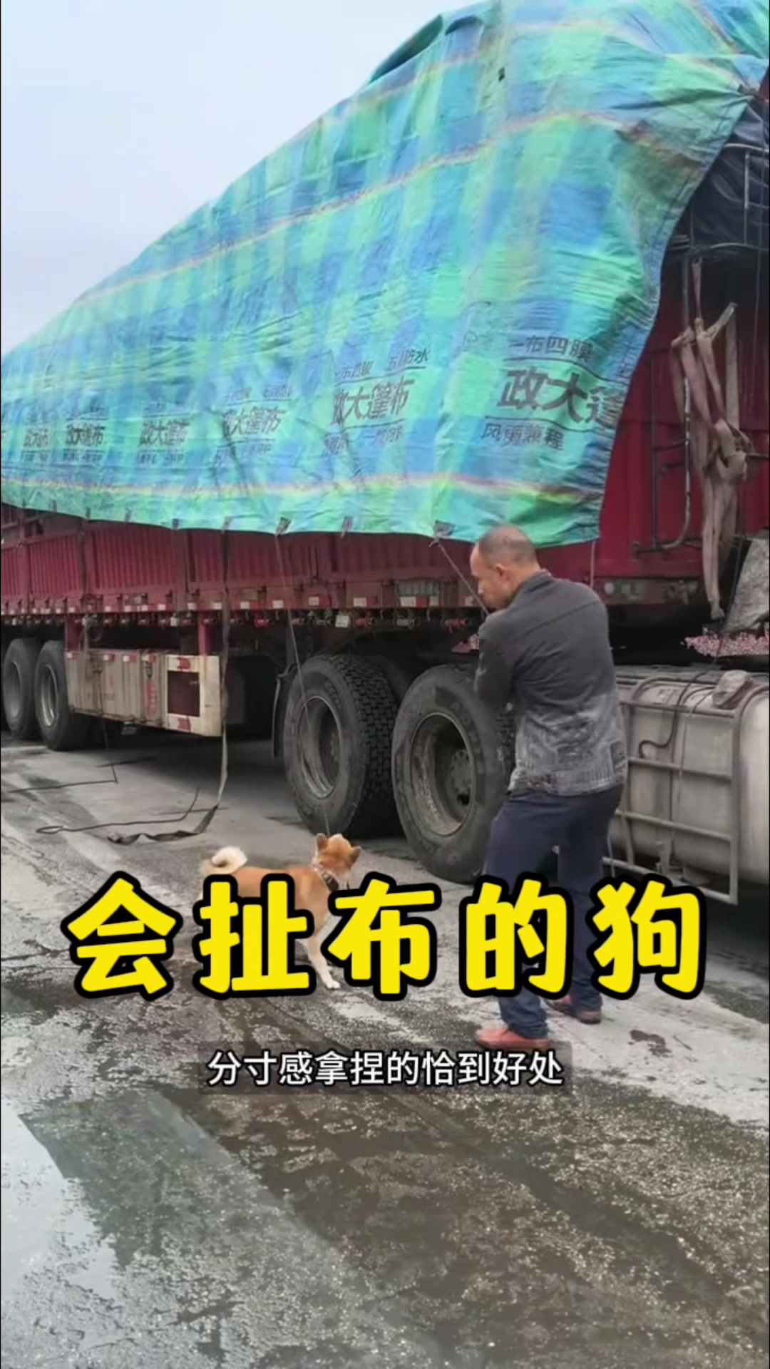 @云端笑视