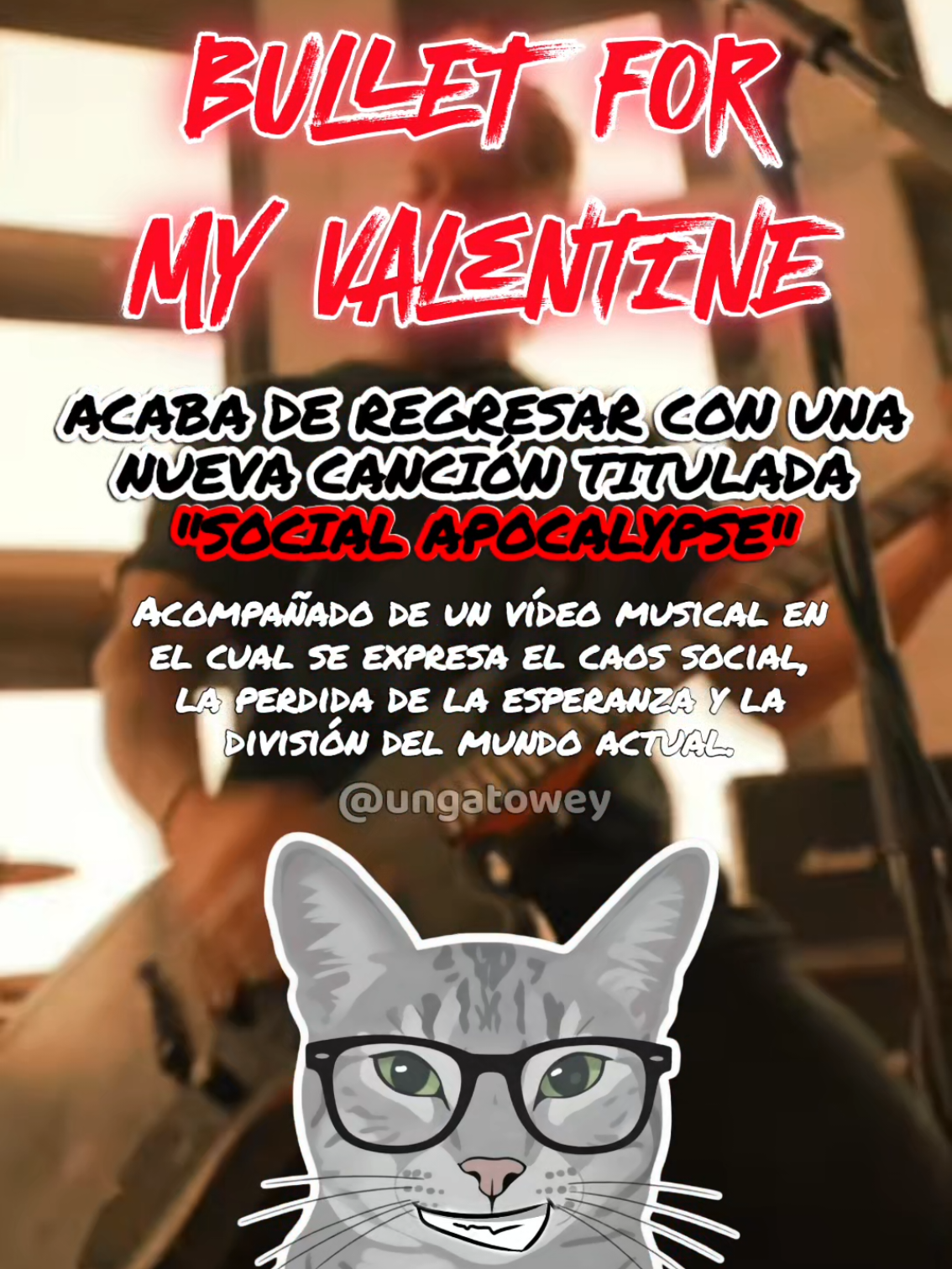 @UN GATO WEY