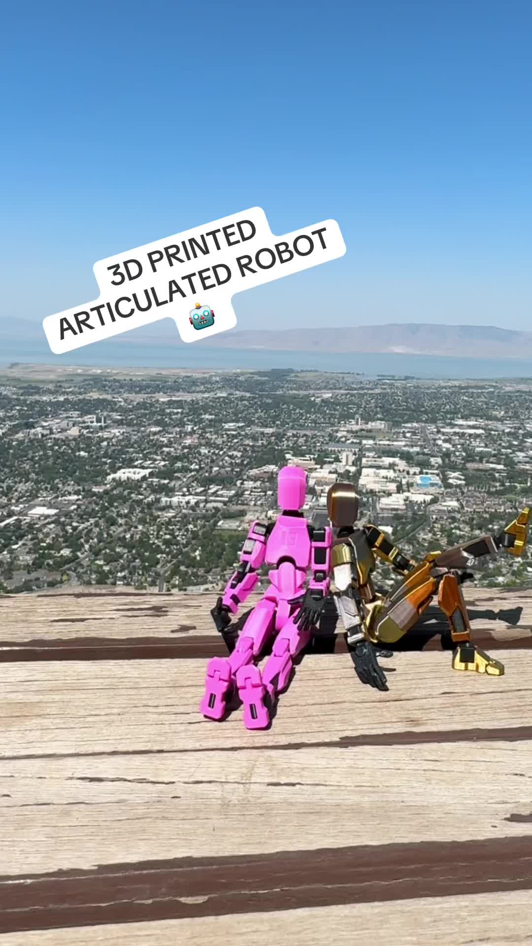 @The 3D Printing Company