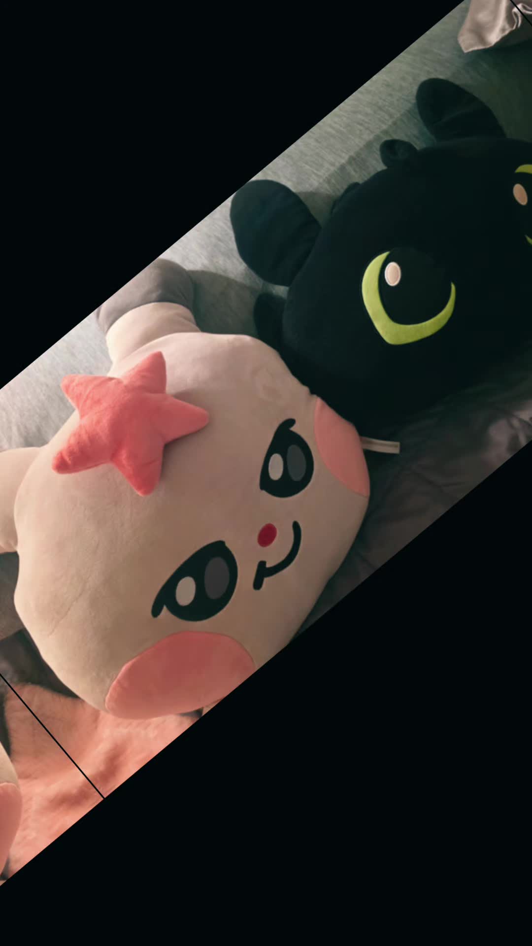 @꧁✩•¢нα¢нα⁶•✩꧂✨️🏴☠️