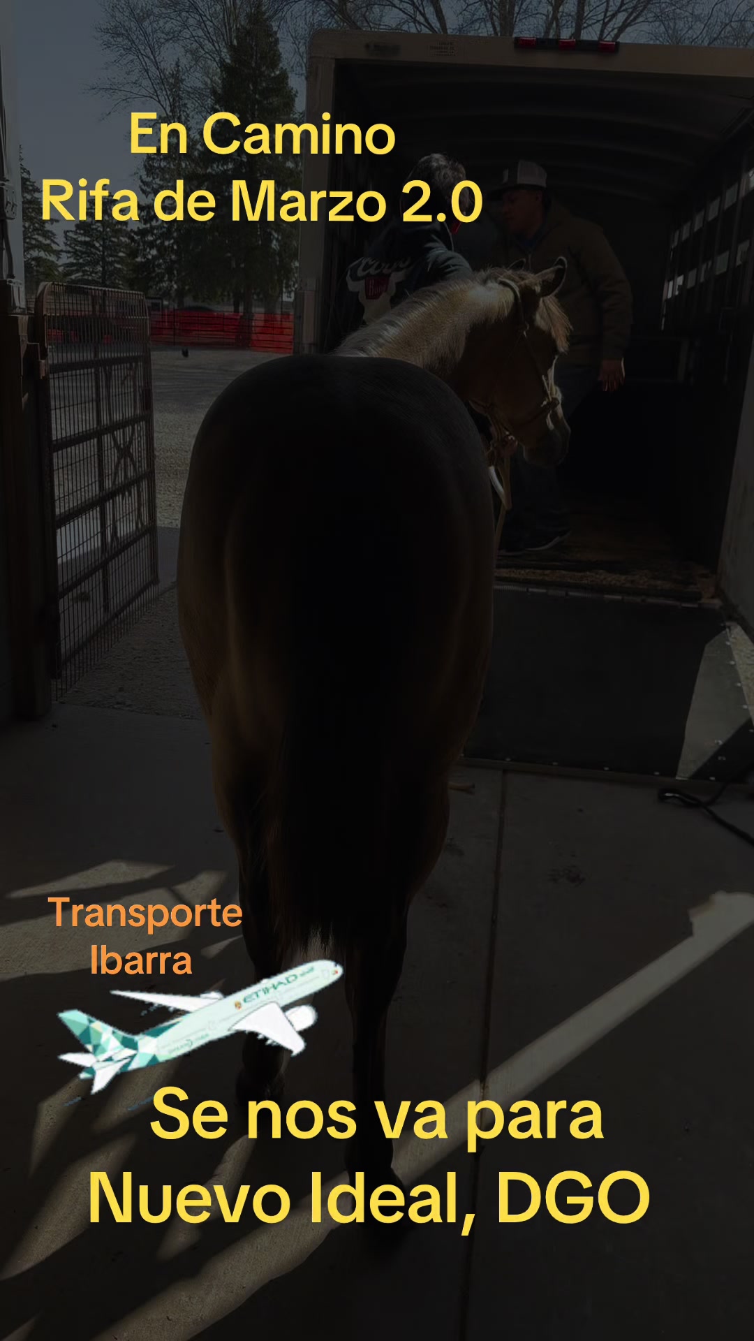 @R.L.P Quarter Horses