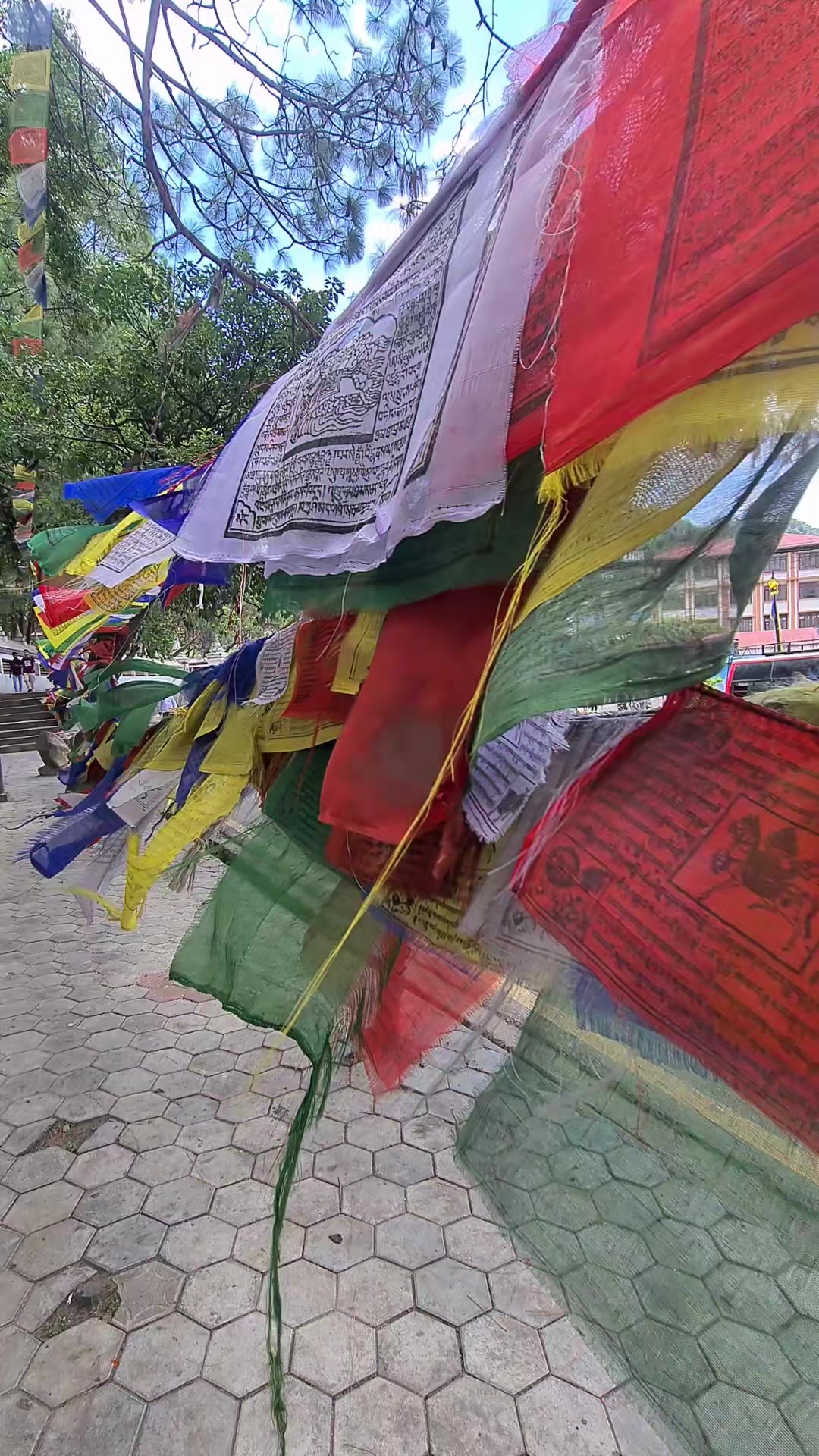 @Kamala lama31