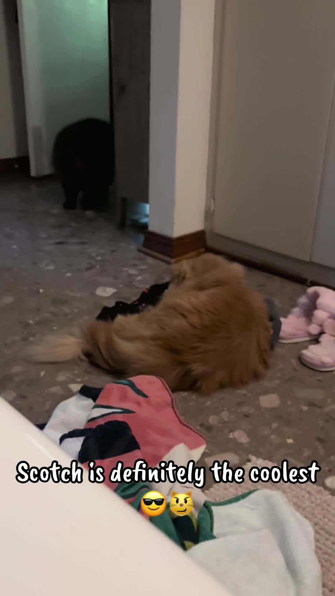 @Melissa’s9Lilfluffs