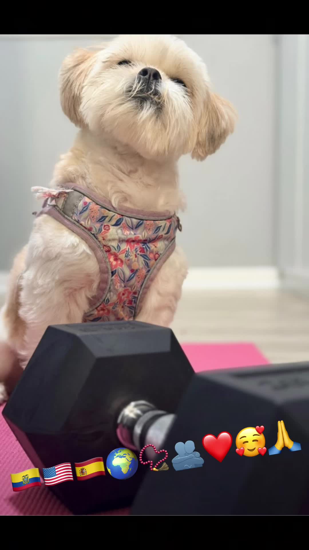 @María❤️Pilar