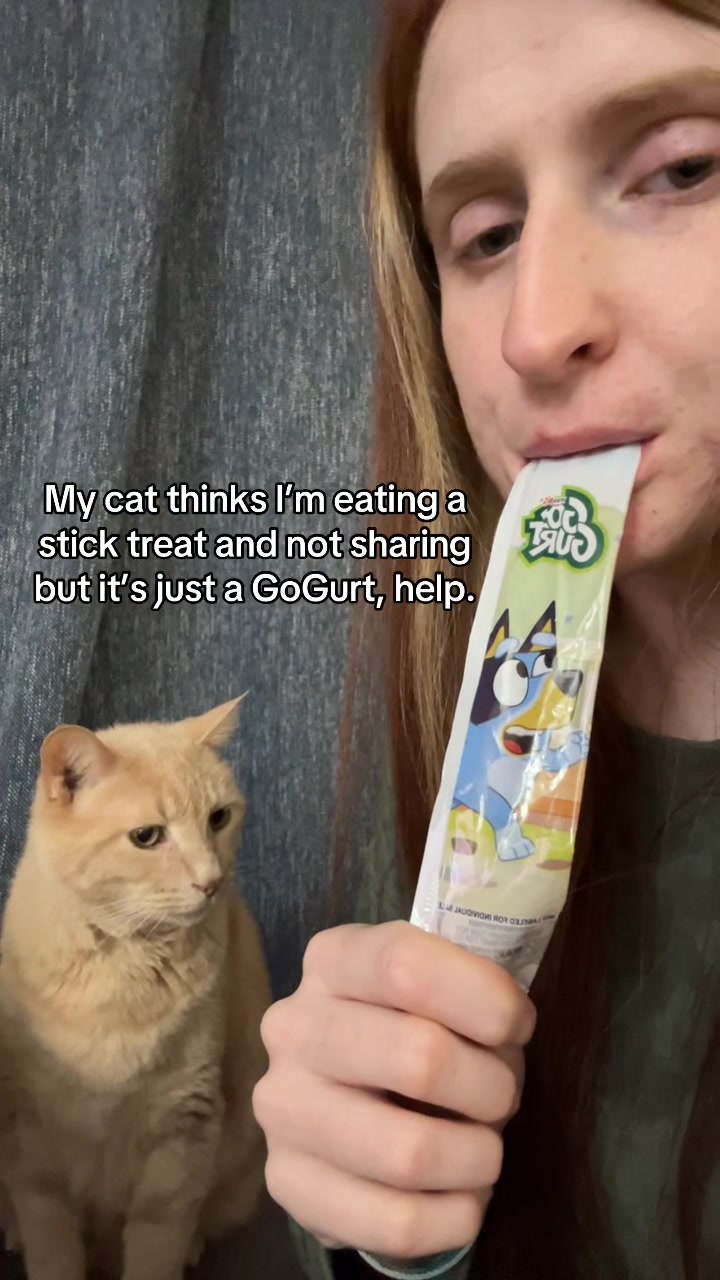 @GingersnapGingerAle