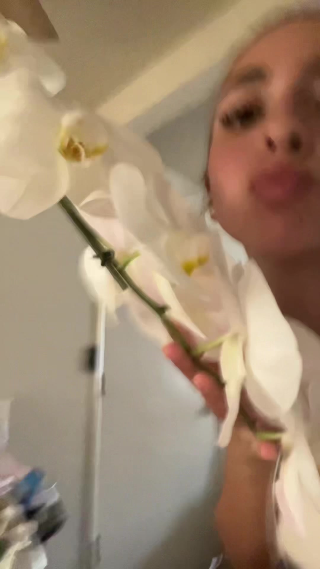 @nawrnaenae
