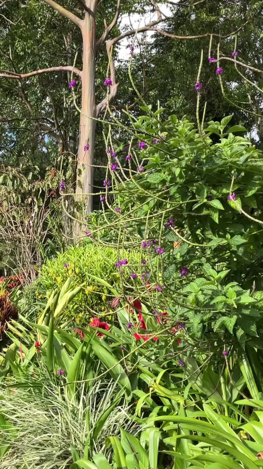 @Naturailesa