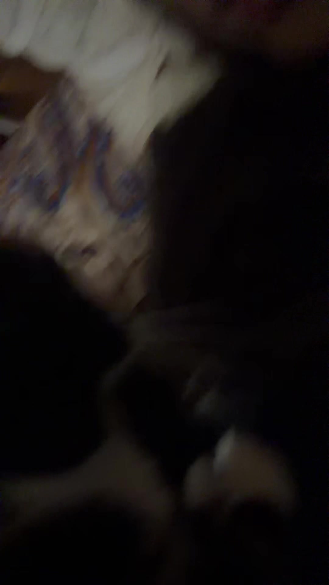 @cophachipipici
