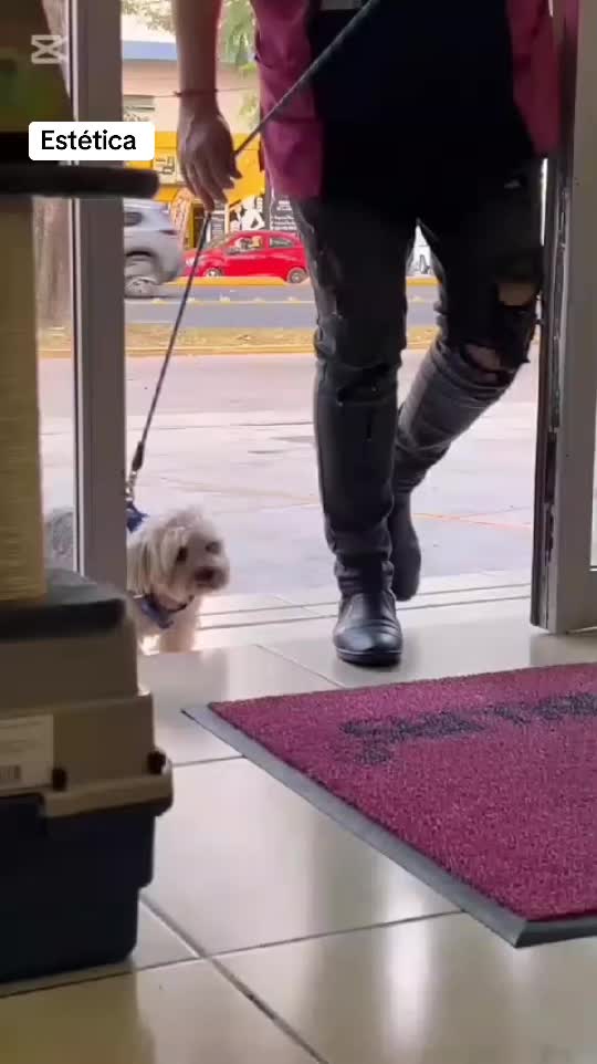 @Chocoburbujas 🐾