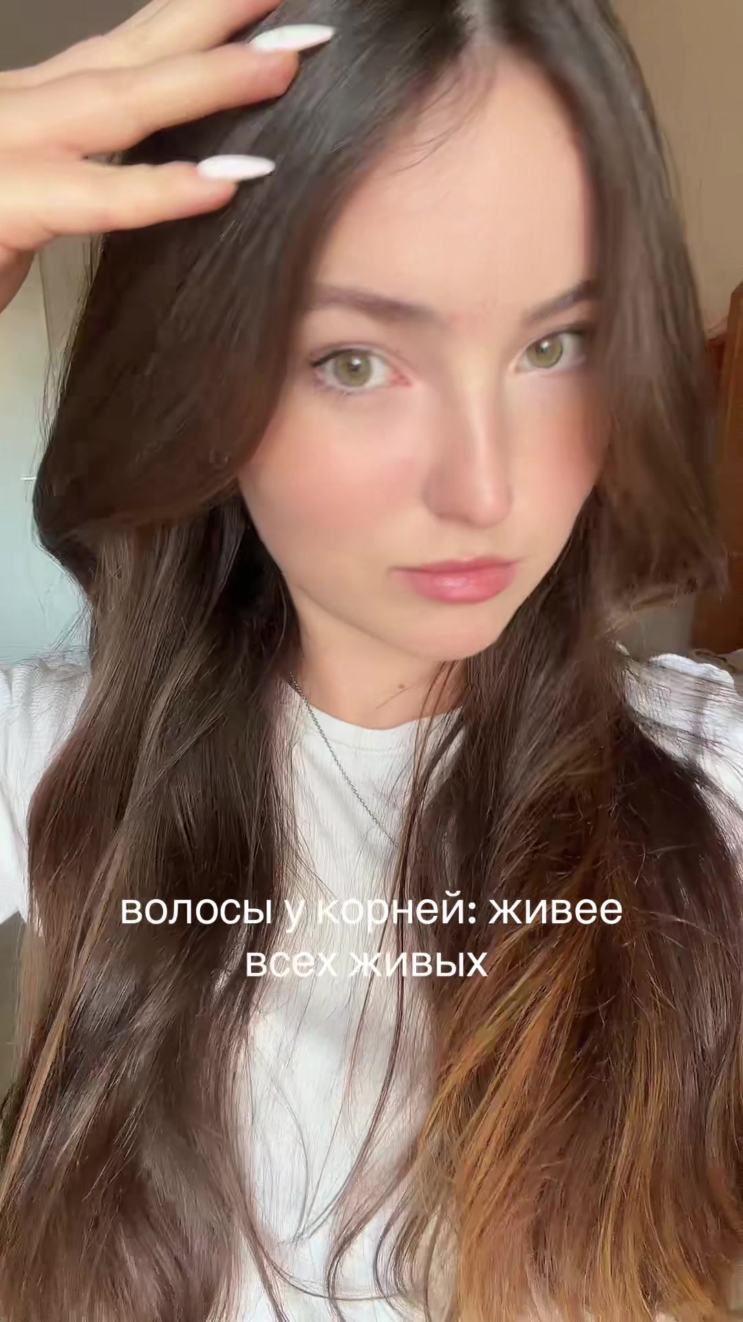@sharlotka