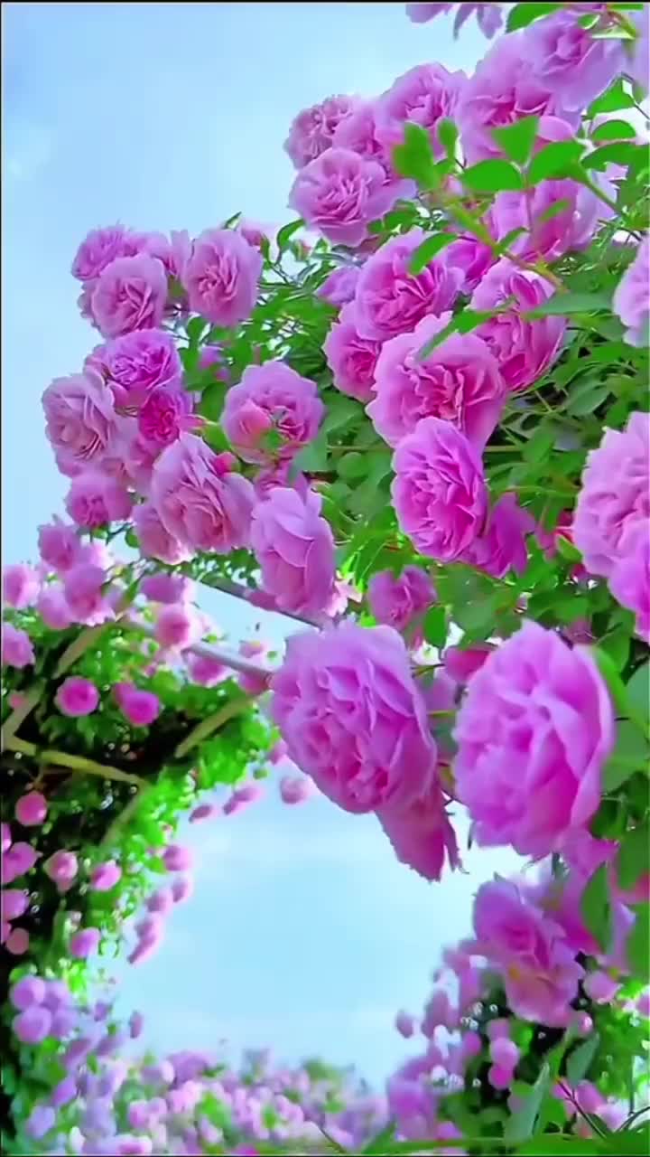 @nadjiaguessoum2nadjiague