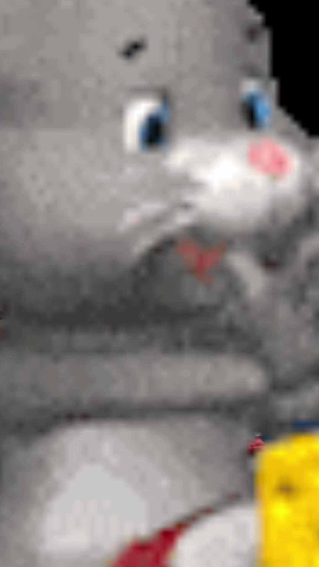 @kid