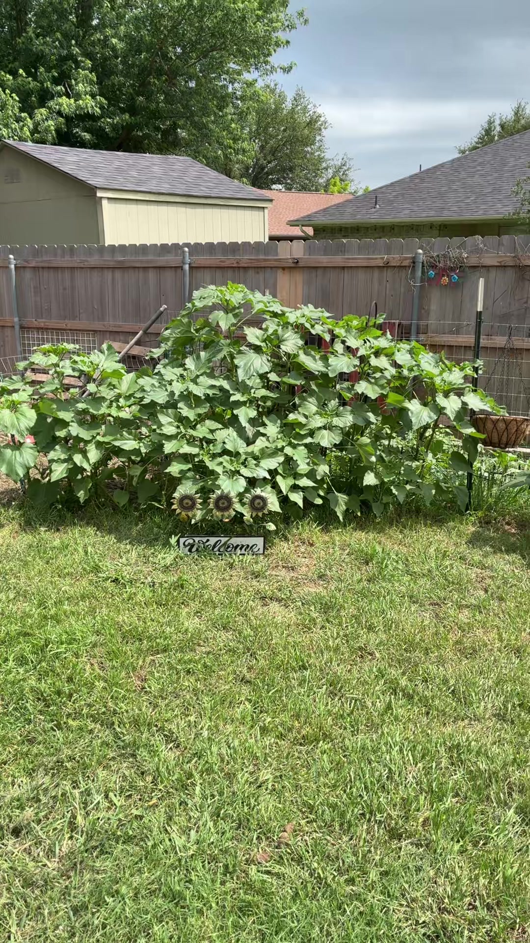 @Txrose