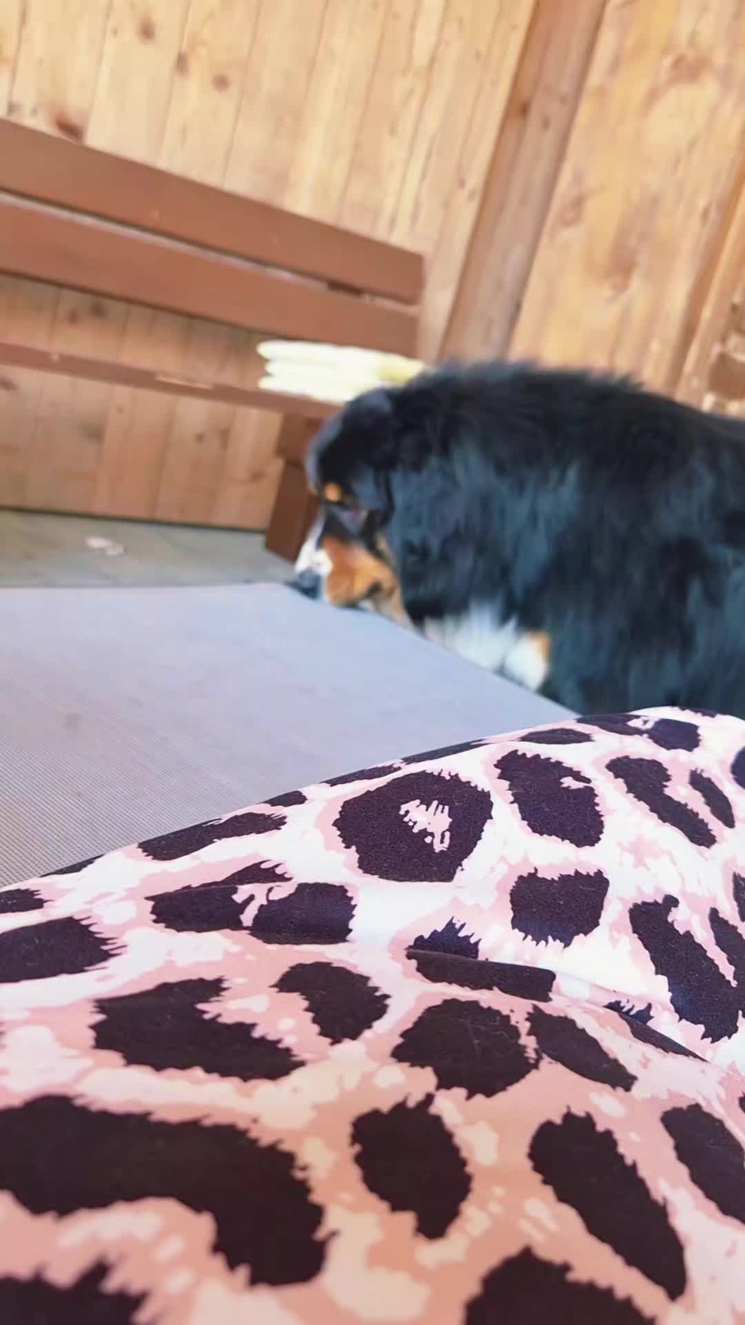 @berner.bruno