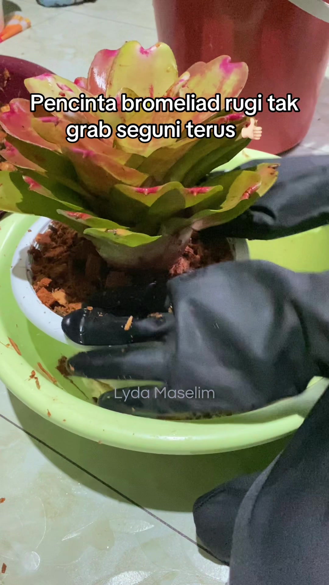 @MokChuuu ❤️