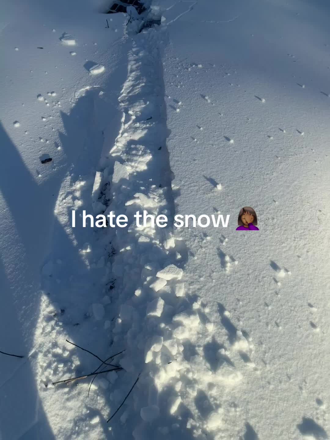 @🤎🤎brownbunni22🤎🤎